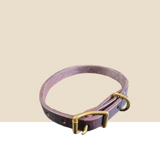 Dog Collar